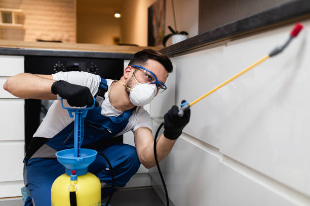 Flea Control Services in Georgetown, KY