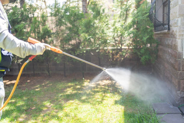 Best Pest Control for Businesses  in Georgetown, KY