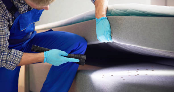 Best Affordable Pest Control Services  in Georgetown, KY
