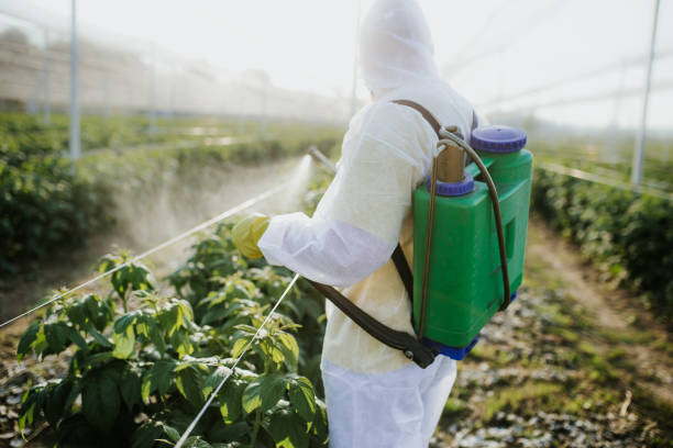 Best Flea Control Services  in Georgetown, KY